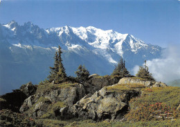 74  Chamonix-Mont-Blanc  Vu De La Flégère (Scan R/V) N°   29   \PB1128 - Chamonix-Mont-Blanc