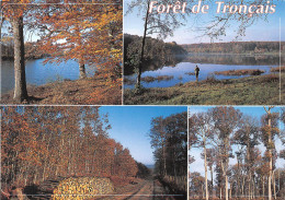 03   Cérilly Forêt De Tronçais  (Scan R/V) N°   17   \PB1127 - Montlucon