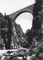 38  SAINT SAUVEUR Le Pont Napoléon (Scan R/V) N°   47   \PB1125 - Bressieux
