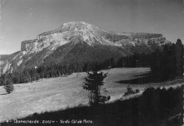 38  Chamechaude  Le Sappey-en-Chartreuse Vue Du Col De La PORTE  (Scan R/V) N°   40   \PB1124 - Les Avenières