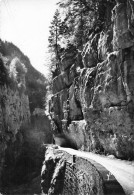 38  Gorges De La Bourne Environs De GRENOBLE  (Scan R/V) N°   32   \PB1124 - Grenoble