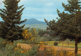 43  Araules Pic Du Lizieux à Mazet Saint-Voy           (Scan R/V) N°  3   \PB1122 - Le Puy En Velay