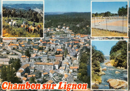 43  Le Chambon-sur-Lignon   (Scan R/V) N°   12   \PB1121 - Le Chambon-sur-Lignon