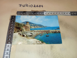 AD11607 ISOLA D'ELBA RIO MARINA ANGOLO PITTORESCO PANORAMA - Sonstige & Ohne Zuordnung