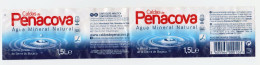 Étiquette D'eau Minérale 1,5L Portugal " PENACOVA "  _Ee082 - Altri & Non Classificati