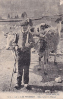 Les Pyrénées (64) Départ Pour Les Champ - Attelage De Bœufs - édit. CC Carrache à Pau N° 1037 Circulée 1919 (état) - Andere & Zonder Classificatie