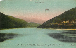 42 Loire Roanne Paysage Du Barrage De La Tâche à Renaison     N° 25 \MN6039 - Roanne