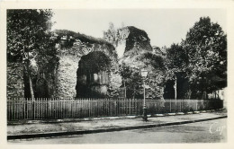 24 Dordogne    Périgueux Ruines Des Arènes Romaines    N° 1 \MN6035 - Périgueux