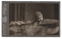 Fotografie X. Simson, Rosenheim, Portrait Süsses Baby Liegt Auf Einem Fell  - Persone Anonimi