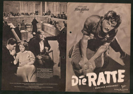 Filmprogramm IFB Nr. 341, Die Ratte, Hugh Miller, Gordon Mac Leod, Regie Jack Raymond  - Zeitschriften