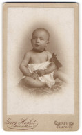 Fotografie Georg Herbst, Berlin-Coepenick, Frieda Brendel Als Baby Mit Schleife  - Personas Anónimos