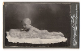 Fotografie Atelier Kolby, Zwickau, Portrait Süsses Baby Auf Einem Fell Liegend  - Anonyme Personen