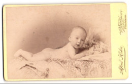 Fotografie Alfred Hahn, Magdeburg, Portrait Süsses Baby Auf Einer Bestickten Decke Liegend  - Anonieme Personen