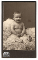 Fotografie Stein, Berlin, Portrait Baby Sitzend Auf Fell  - Persone Anonimi
