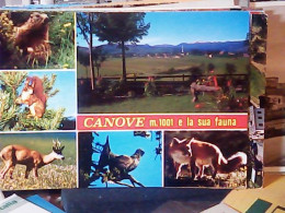 CANOVE SCOIATTOLO SCIRUS VOLPE FOX  GALLO CEDRONE N1970 JV6439 - Vicenza