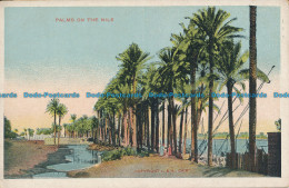 R045942 Palms On The Nile - Welt