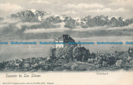 R045959 Souvenir Du Lac Leman. Chatelard. Guggenheim - Welt