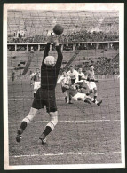 Fotografie Ansicht Berlin, Fussballspiel Wien : Berlin Im Olympiastadion 1942, Torwart Jahn  - Deportes