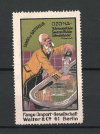 Reklamemarke Ozona Fichtelnadel- Und Sauerstoffbäder, Fango-Import-Gesellschaft Walter & Co., Berlin  - Erinofilia