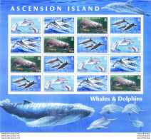 Fauna. Cetacei 2009. - Ascension