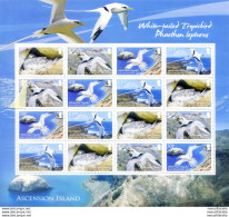 Fauna. Uccelli 2009. - Ascension (Ile De L')