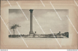 Bf287 Cartolina Alexandria Pompeys Column Egitto - Andere & Zonder Classificatie