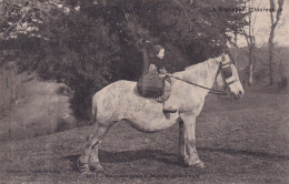 Carhaix (29 Finistère) En Route Pour Le Marché De - Coll. Waron N° 1011 La Bretagne Pittoresque Circulée 1905 - Altri & Non Classificati