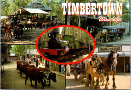 9-5-2024 (4 Z 33) Australia - NSW  - Timbertown In Wauchope - Pferde