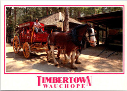 9-5-2024 (4 Z 33) Australia - Timbertown Horse Drawn Carriage Team In Wauchope - Wagengespanne