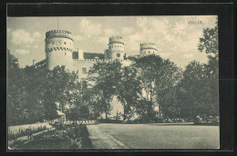 AK Orlik, Ansicht Auf Die Burg Am Eingang  - Tchéquie