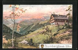 Künstler-AK Carl Moos: Blomberghaus Und Bergpanorama  - Moos, Carl