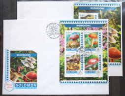 Salomon Inseln 4125-4128 Und Block 577 Gestempelt Kleinbogen / Als FDC #GG304 - Salomoninseln (Salomonen 1978-...)