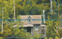 R046523 Wellington Hut Near Hobart. The Tasman. B. Hopkins - World