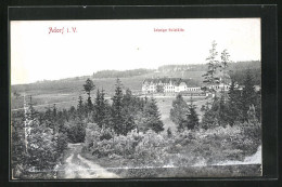 AK Adorf / Vogtland, Waldpartie Mit Blick Zur Leipziger Heilstätte  - Vogtland