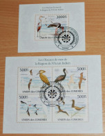 COMORES 2010, Birds Of The Indian Ocean Region, Animals, Fauna, Souvenir Sheets, Used - Altri & Non Classificati