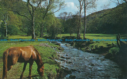 R046207 By An Exmoor Stream Horner Valley. H. A. Summers. 1963 - Monde