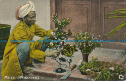R046690 Malee. Gardener. Moorli Dhur. B. Hopkins - World