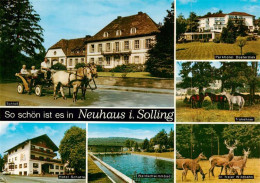 73944357 Neuhaus_Solling Schloss Pferdekutsche Parkhotel Duesterdiek Trakehner P - Holzminden