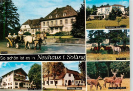 73944347 Neuhaus_Solling Parkhotel Duesterdiek Schloss Trakehner Pferde Hotel Ha - Holzminden