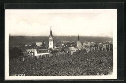AK Hustopece, Panorama  - Tchéquie
