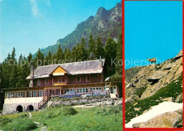 73163603 Vysoke Tatry Chata Kamzik Berghaus Hohe Tatra Gemse Vysoke Tatry - Slovacchia