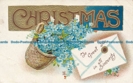 R048752 Greetings. Christmas. To Greet You In All Sincerity. 1906 - World