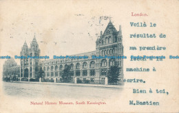 R048241 London. Natural History Museum. South Kensington. London. 1903 - Autres & Non Classés