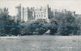 R048836 Arundel Castle - Monde