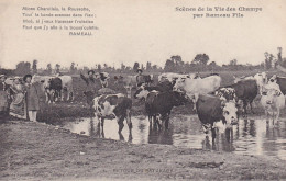 Rameau Fils Scènes De La Vie Des Champs N° 1 Retour Du Pâturage - Vaches Vacher - Allons Charollais, Roussotte... - Autres & Non Classés