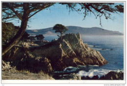 MONTEREY Peninsula, Calif. - Midway Point, 17-mile Drive - American Roadside