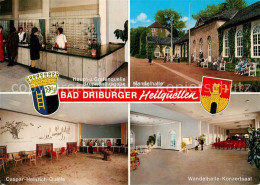 73149167 Bad Driburg Heilquellen Wandelhalle Konzertsaal Brunnenausgabe Wappen B - Bad Driburg