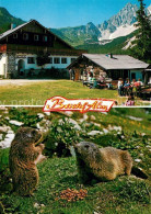 73143191 Ramsau Berchtesgaden Bachl Alm Brotzeit Der Murmeltiere Ramsau Berchtes - Berchtesgaden