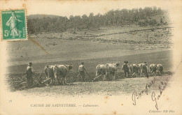 12)  CAUSSE  De SAUVETERRE  - Laboureurs - Autres & Non Classés