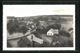 AK Horni Bory, Strasse Im Ort  - Czech Republic